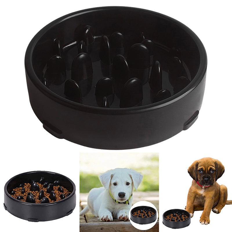 Slow Feeder Pet Bowl – Anti-Choking Design