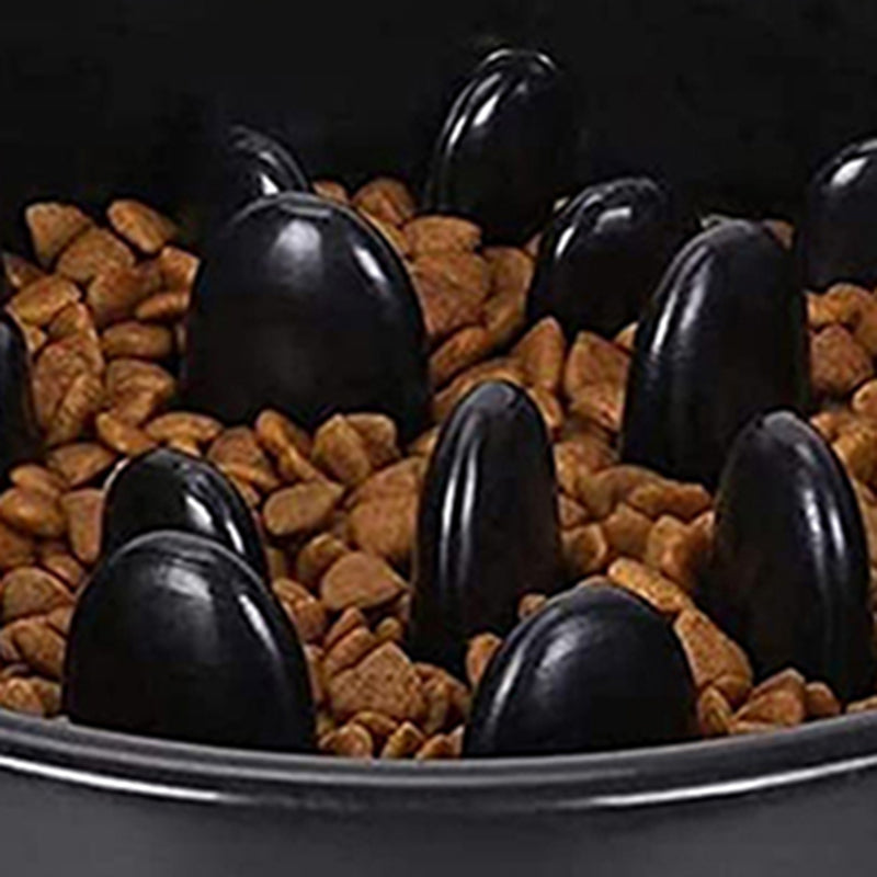 Slow Feeder Pet Bowl – Anti-Choking Design