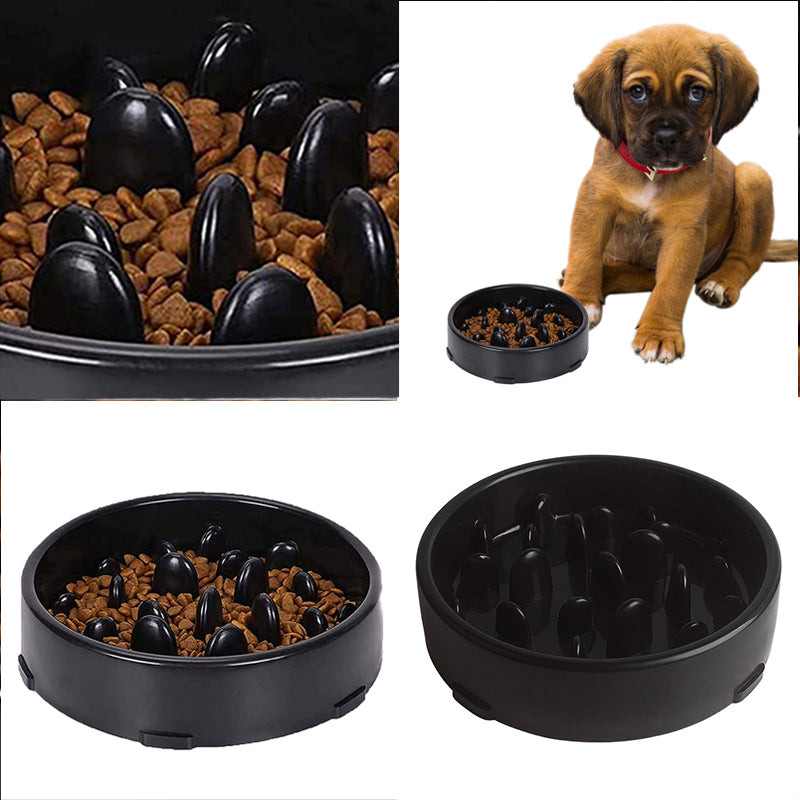 Slow Feeder Pet Bowl – Anti-Choking Design