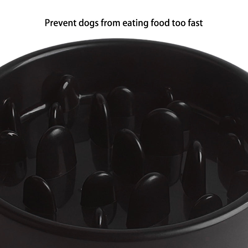 Slow Feeder Pet Bowl – Anti-Choking Design